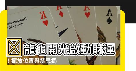 龍龜 開光|龍龜的開光方法與擺放 